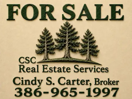 Cindy S. Carter, Broker Real Estate